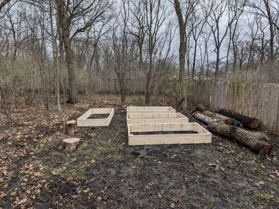 raised beds 3